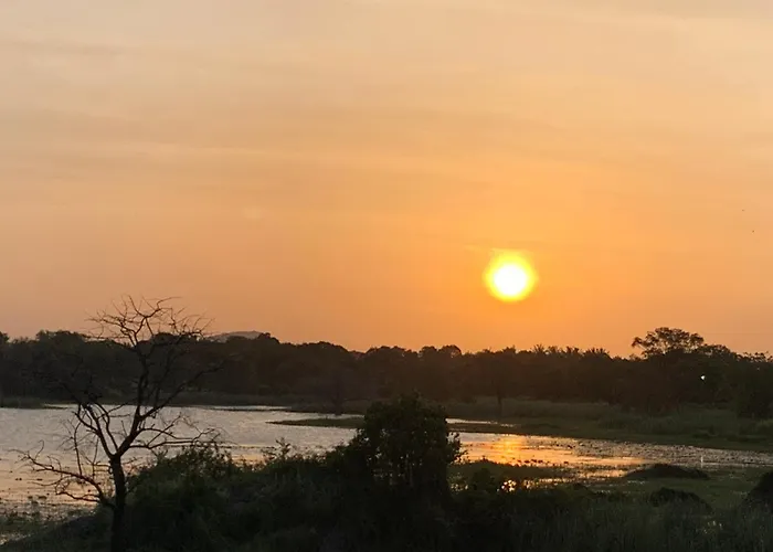 Sigiri Lake Paradise