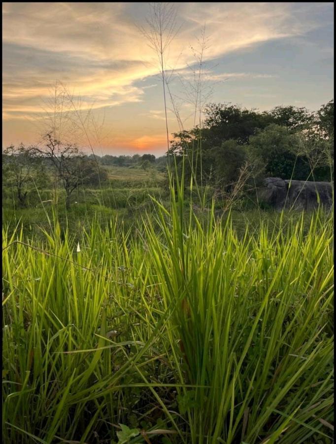 Lodge Sigiri Paradise *