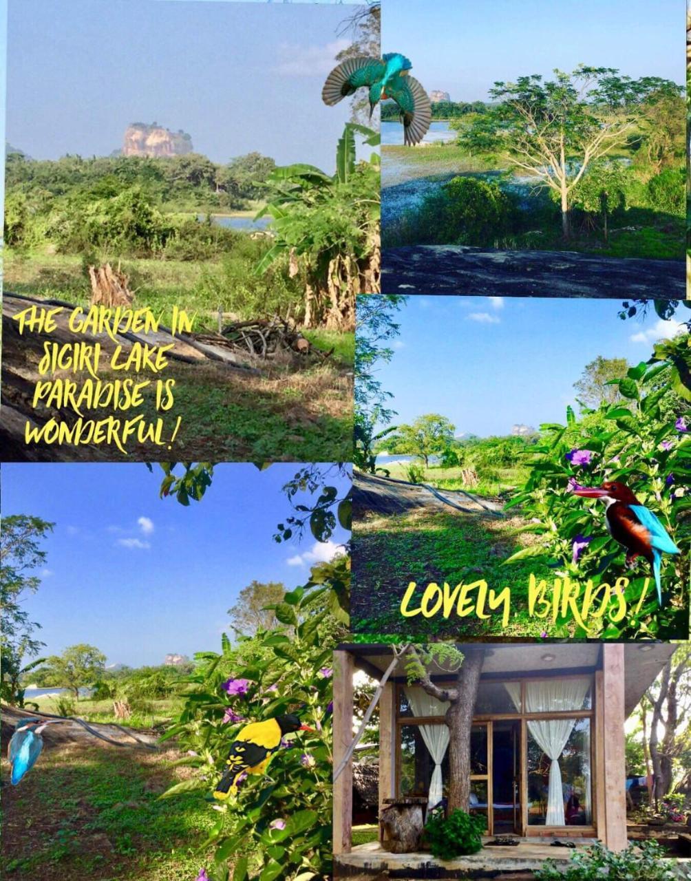 Lodge Sigiri Paradise Sigirîya