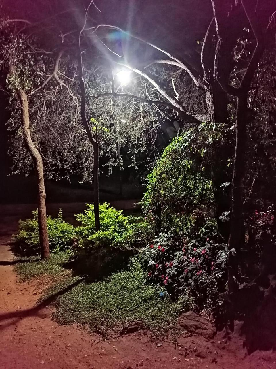 Sigiri Paradise *
