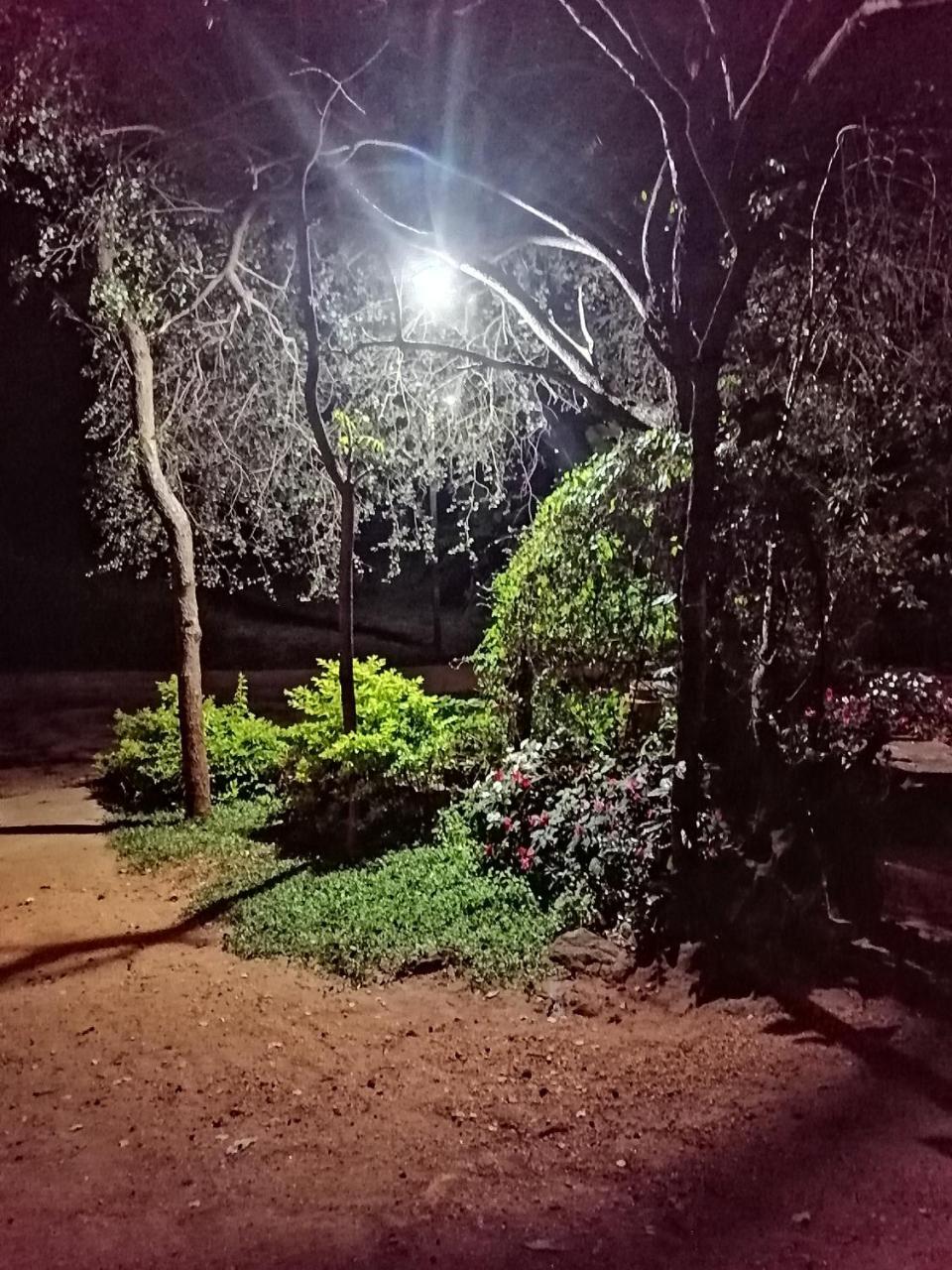 Sigiri Paradise *